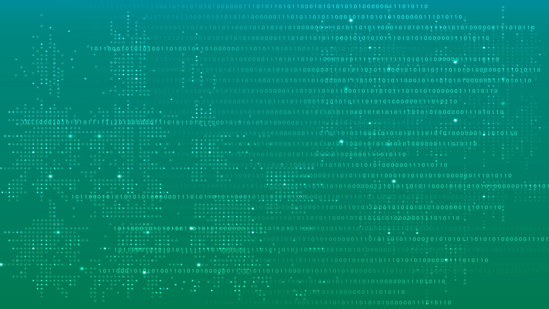 binary code / data