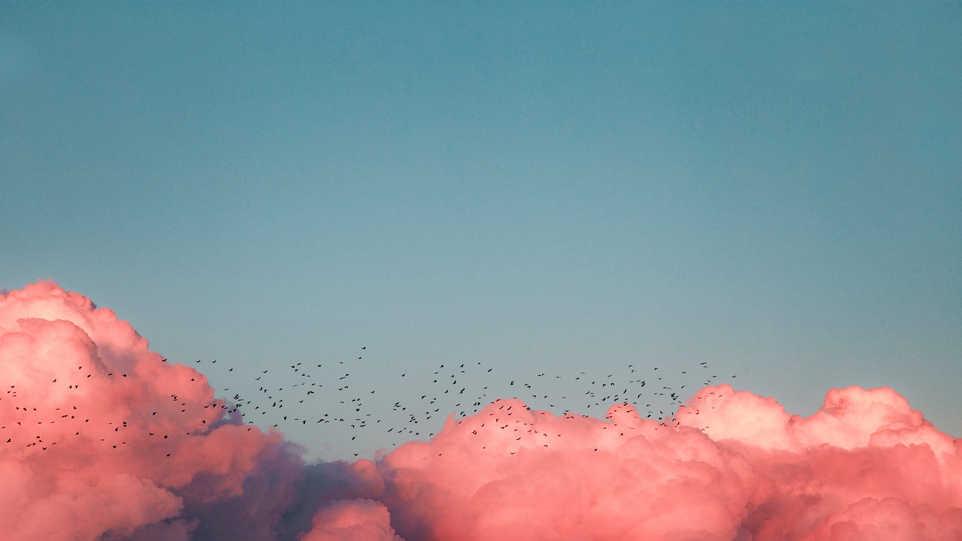 clouds, birds and clouds