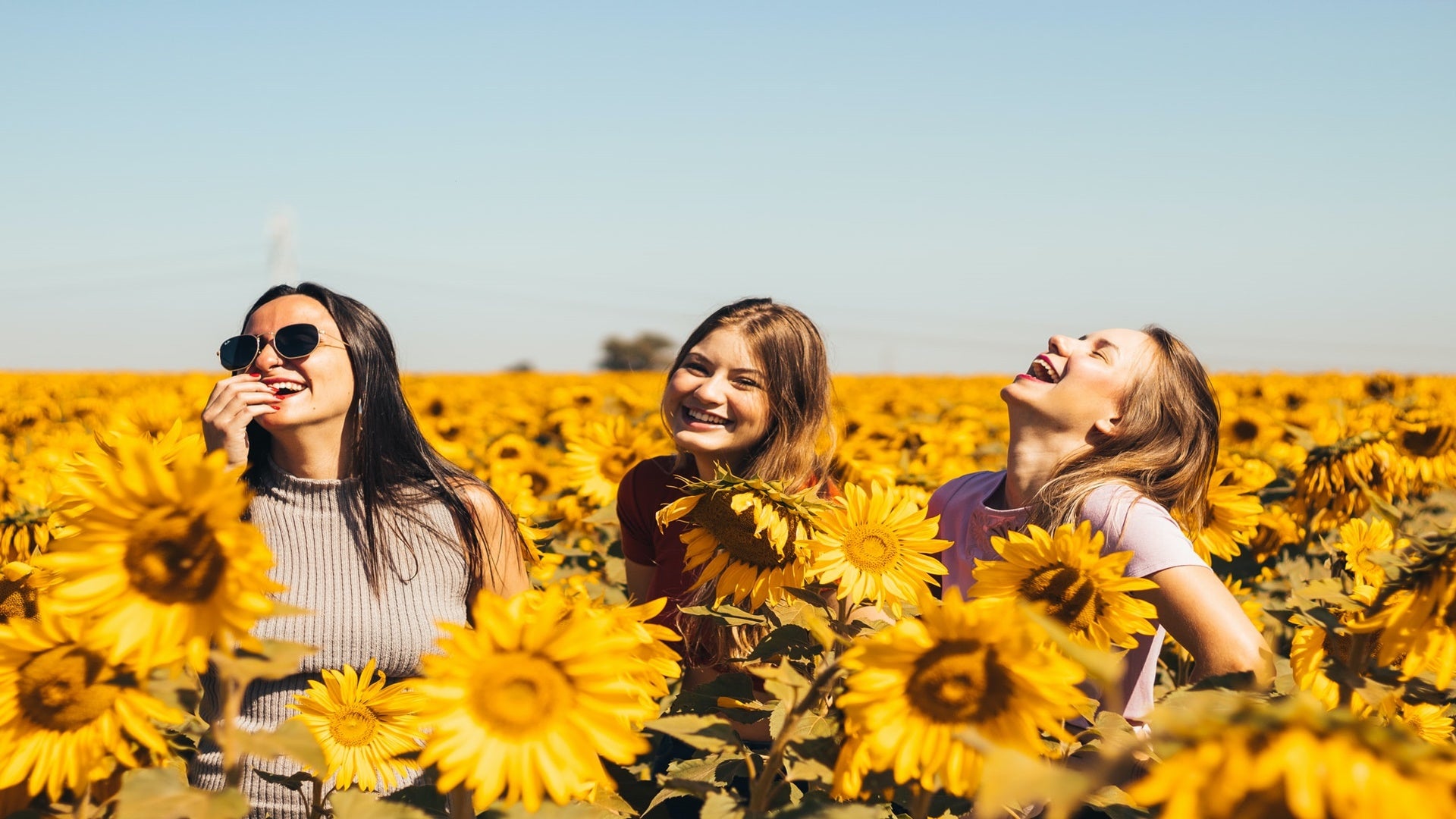 three happy women in a field of sunflowers